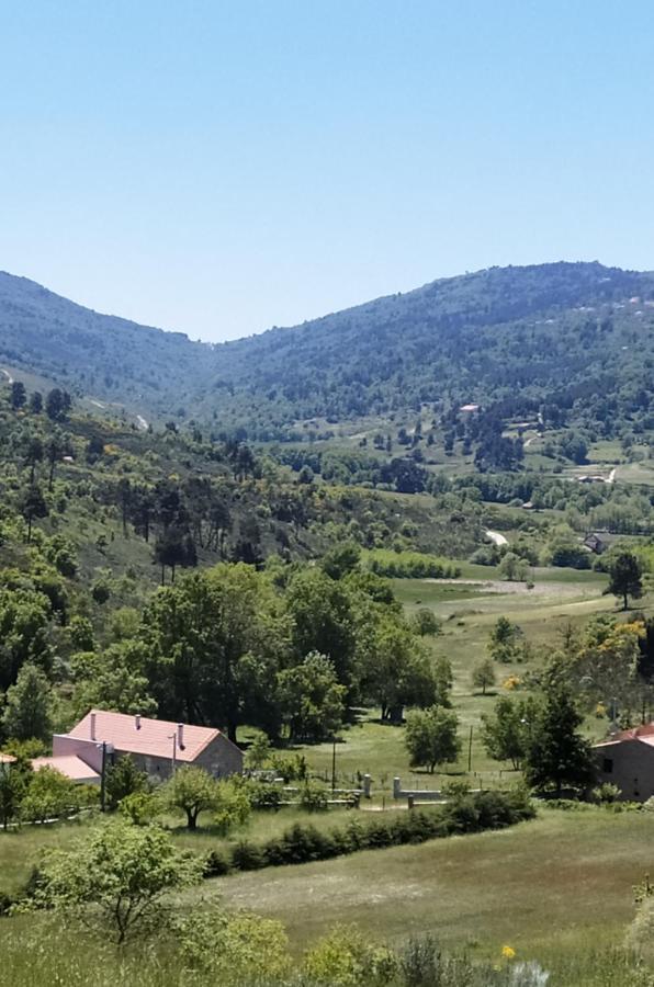 Turismo Rural Macieira Brava Guarda Buitenkant foto