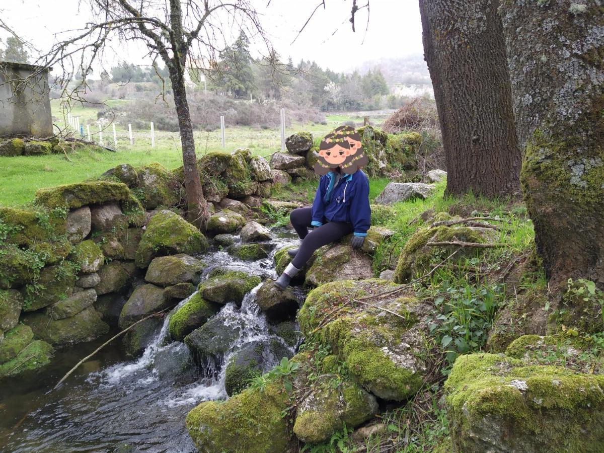 Turismo Rural Macieira Brava Guarda Buitenkant foto