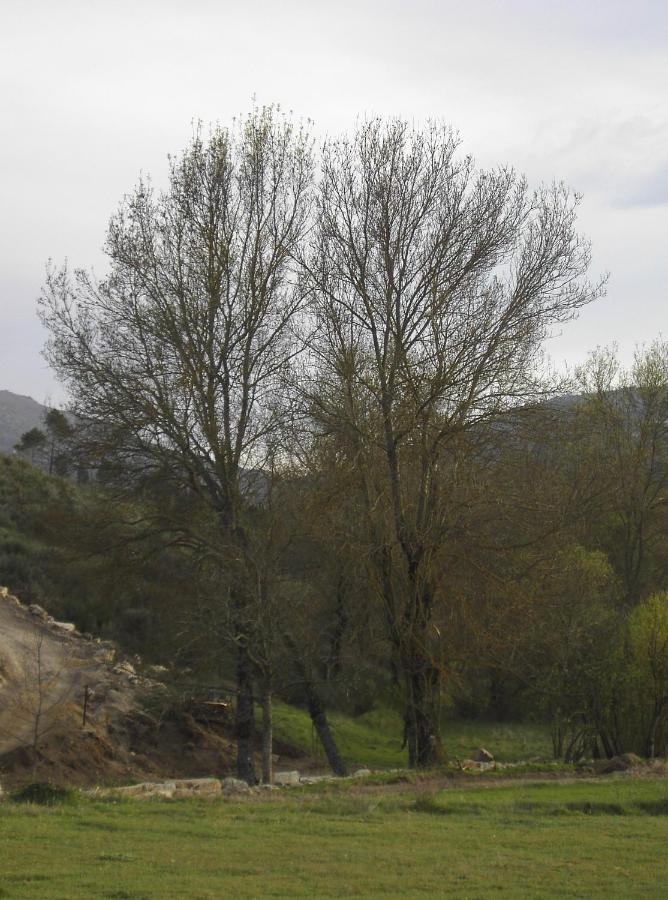Turismo Rural Macieira Brava Guarda Buitenkant foto