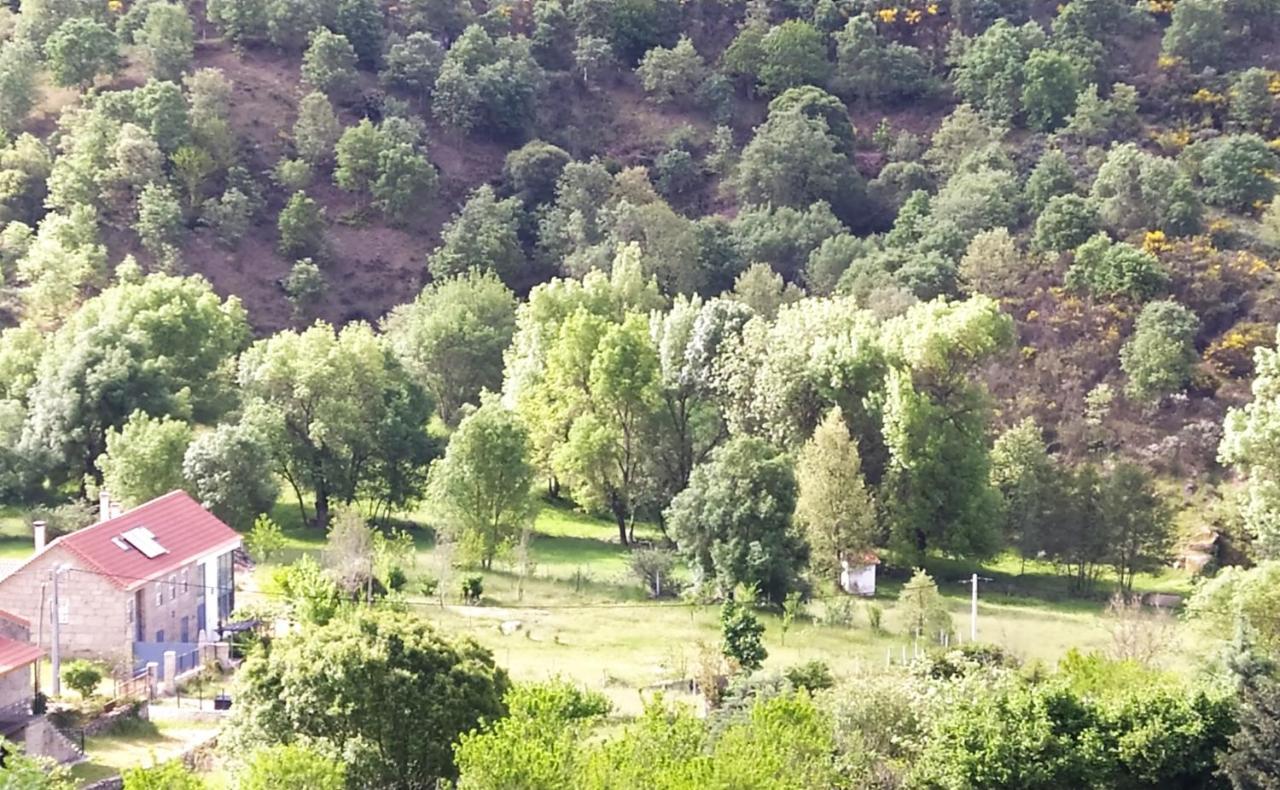 Turismo Rural Macieira Brava Guarda Buitenkant foto